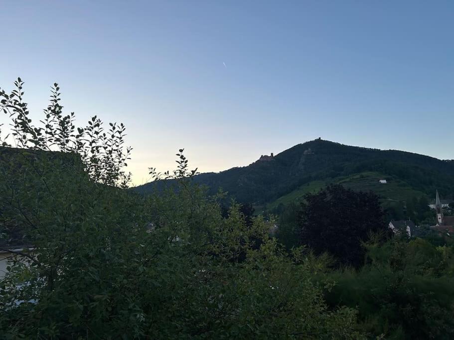 Vue Magnifique Sur Les Chateaux 希伯维列 外观 照片