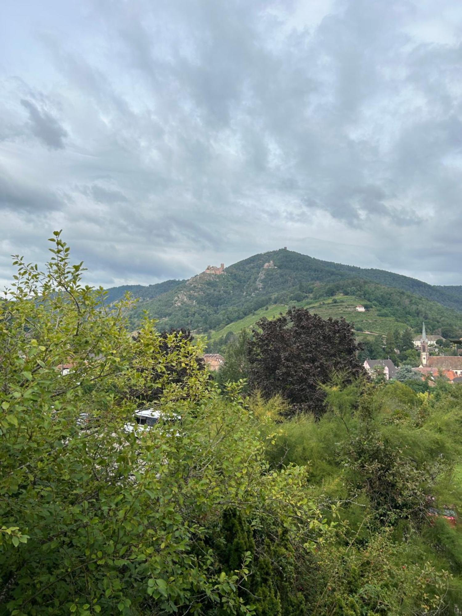 Vue Magnifique Sur Les Chateaux 希伯维列 外观 照片